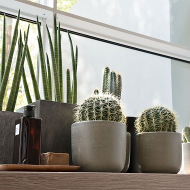 Varias plantas en el alféizar de una ventana