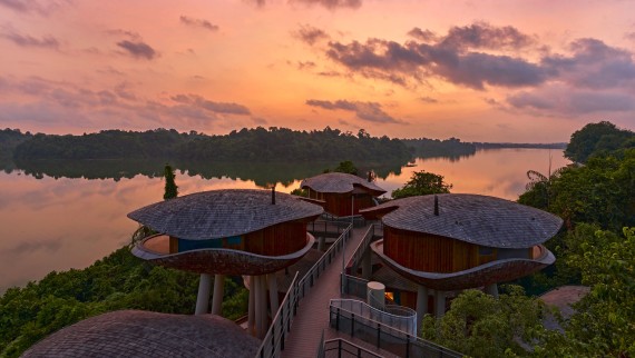 Casas inspiradas en vainas de semillas en el Mandai Rainforest Resort (© Banyan Tree)