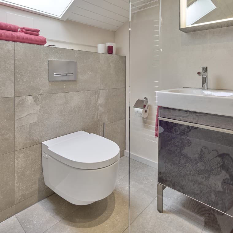 Inodoro bidé Geberit AquaClean Mera Inodoro bidé Geberit AquaClean Mera